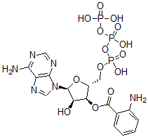 CAS 登录号：85287-49-6， 腺苷 5'-(四氢三磷酸酯) 3'-(2-氨基苯甲酸酯)