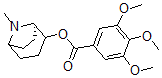CAS#: 87395-54-8, [1Β,5Β,(+)]-Tropane-2a-Yl 3,4,5-Trimethoxybenzoate