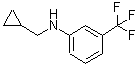 CAS#: 887590-43-4, N-(Cyclopropylmethyl)-3-(trifluoromethyl)aniline