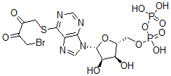 CAS 登录号：90269-32-2， 6-((4-溴-2,3-二氧代丁基)硫代)-6-去氨基腺苷 5'-二磷酸酯