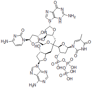 CAS#: 91126-91-9, Deoxy-(Adenylyl-Guanylyl-Cytidylyl-Thymidine)