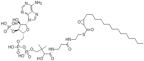 CAS 登录号：92142-38-6， 2-十四烷基缩水甘油基辅酶 A