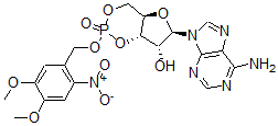 CAS 登录号：92313-25-2， 4,5-二甲氧基-2-硝基苄基环腺苷酸