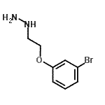 CAS 登录号：926195-07-5， [2-(3-溴苯氧基)乙基]肼