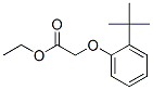 CAS 登录号：93893-53-9， [2-(1,1-二甲基乙基)苯氧基]乙酸乙酯