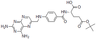 CAS 登录号：95484-98-3， gamma-叔丁基氨基喋呤