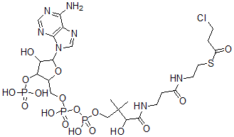 CAS#: 96212-36-1, 3-Chloropropionyl-Coenzyme A