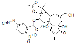 CAS#: 96657-96-4, 12-O-(5-Azido-2-Nitrobenzoylphorbol)-13-Acetate