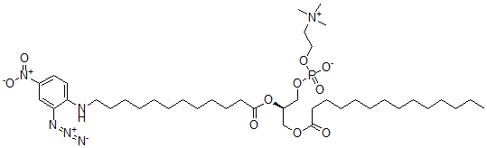 CAS#: 96912-01-5, 1-Myristoyl-2-[12-(2-azido-4-nitroanilino)dodecanoyl]-Phosphatidylcholine