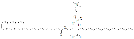 CAS 登录号：97992-77-3， 1-棕榈酰基-2-(9-(2-蒽基)壬酰)甘油-3-磷酰胆碱