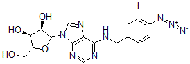 CAS 登录号:98849-99-1, N(6)-(3-碘-4-叠氮基苄基)腺苷
