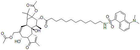 CAS 登录号：98897-16-6， 12-O-(12(N)-丹磺酰氨基月桂酰基)佛波醇 12,20-二乙酸酯
