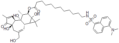 CAS#: 98897-17-7, 12-O-(12-N-Dansylaminododecanoyl)Phorbol