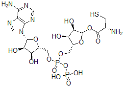 CAS 登录号：99156-05-5， 二磷酸腺苷-核糖基半胱氨酸