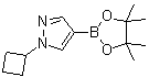 structure of CAS# 1002309-48-9, 1-环丁基-1H-吡唑-4-硼酸频哪醇酯