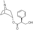CAS 登录号：101-31-5, L-天仙子胺, 莨菪碱, (8-甲基-8-氮杂双环[3.2.1]辛-3-基) (2S)-3-羟基-2-苯基丙酸酯