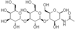 CAS # 101627-01-4, O-alpha-D-Galactopyranosyl-(1→3)-O-beta-D-galactopyranosyl-(1→4)-2-(acetylamino)-2-deoxy-beta-D-glucopyranose