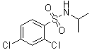 CAS 登录号：1018135-23-3, 2,4-二氯-N-(异丙基)苯磺酰胺
