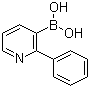 structure of CAS# 1029654-14-5, (2-苯基-3-吡啶基)硼酸