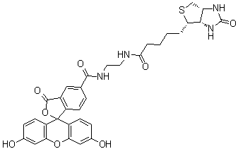 CAS 登录号：1032732-74-3, 生物素-4-荧光素