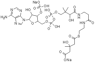 CAS 登录号：103476-21-7, 辅酶A S-(氢3-羟基-3-甲基戊二酸酯)二钠盐