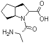 CAS 登录号：104160-97-6, [2S-[1(R*),2alpha,3abeta,6abeta]]-1-(2-氨基-1-氧代丙基)八氢环戊二烯并[b]吡咯-2-羧酸