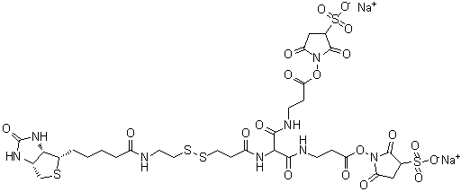 CAS # 1044220-56-5, 6-[2-Biotinylamidoethyl]-dithiopropionamido]-4,8-diaza-5,7-diketoundecanoic acid bis-N-sulfosuccinimidyl ester disodium salt