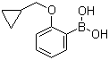 structure of CAS# 1050510-36-5, 2-(环丙基甲氧基)苯硼酸