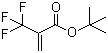 structure of CAS# 105935-24-8, 2-三氟甲基丙烯酸叔丁酯
