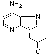 structure of CAS# 105970-02-3, 1-(6-Amino-9H-purin-9-yl)-2-propanone