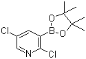 structure of CAS# 1073371-98-8, 2,5-二氯吡啶-3-硼酸频哪醇酯