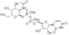 CAS 登录号：108320-87-2, 尿苷 5'-(三氢二磷酸酯) P'-[2-(乙酰氨基)-2-脱氧-alpha-D-吡喃半乳糖基]酯二钠盐