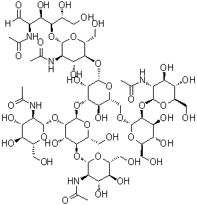 O-2-(Acetylamino)-2-deoxy-beta-D-glucopyranosyl-(1→2)-O-alpha-D-mannopyranosyl-(1→6)-O-[O-2-(acetylamino)-2-deoxy-beta-D-glucopyranosyl-(1→2)-O-[2-(acetylamino)-2-deoxy-beta-D-glucopyranosyl-(1→4)]-alpha-D-mannopyranosyl-(1→3)]-O-beta-D-mannopyranosyl-(1→4)-O-2-(acetylamino)-2-deoxy-beta-D-glucopyranosyl-(1→4)-2-(acetylamino)-2-deoxy-D-glucose molecular structure (CAS 110387-63-8)