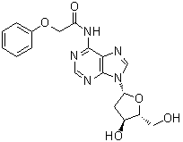 CAS 登录号：110522-74-2, N-(苯氧基乙酰基)-2'-脱氧腺苷