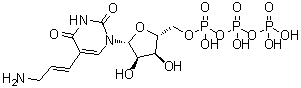 CAS # 112131-73-4, 5-(3-Aminoallyl)uridine 5'-triphosphate, 5-(3-Amino-1-propen-1-yl)uridine 5'-(tetrahydrogen triphosphate), Aminoallyl-UTP