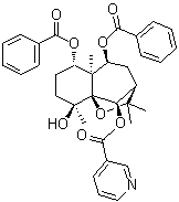 Regelidine molecular structure (CAS 114542-54-0)