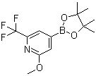 structure of CAS# 1150561-66-2, 2-Methoxy-6-trifluoromethylpyridine-4-boronic acid pinacol ester