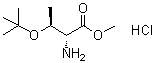 structure of CAS# 115141-43-0, O-(叔丁基)-D-苏氨酸甲酯盐酸盐