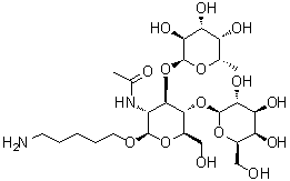 CAS # 1159604-40-6, 5-Aminopentyl O-6-deoxy-alpha-L-galactopyranosyl-(1→3)-O-[beta-D-galactopyranosyl-(1→4)]-2-(acetylamino)-2-deoxy-beta-D-glucopyranoside