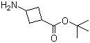 structure of CAS# 1173205-83-8, 3-氨基环丁酸叔丁酯