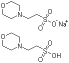structure of CAS# 117961-21-4, 2-吗啉乙磺酸半钠盐