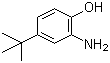CAS 登录号：1199-46-8, 2-氨基-4-叔丁基酚