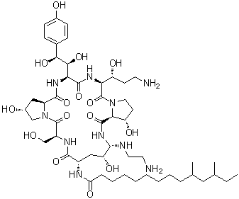 CAS # 1202167-57-4, (3S)-(4R,5S)-5-[(2-Aminoethyl)amino]-N2-[(10R,12S)-10,12-dimethyl-1-oxotetradecyl]-4-hydroxy-L-ornithyl-L-seryl-(4R)-4-hydroxy-L-prolyl-(4S)-4-hydroxy-4-(4-hydroxyphenyl)-L-threonyl-(3R)-3-hydroxy-L-ornithyl-3-hydroxy-L-proline (6→1<sup>5</sup>)-lactam