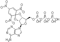 CAS 登录号：120360-48-7, 2',3'-O-(2,4,6-三硝基-2,5-环己二烯-1-亚基)腺苷 5'-(三磷酸四氢酯)