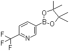 structure of CAS# 1218790-39-6, 2-三氟甲基吡啶-5-硼酸频哪醇酯