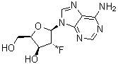 CAS 登录号：123334-75-8, 9-(2-脱氧-2-氟-beta-D-呋喃木糖基)-9H-嘌呤-6-胺