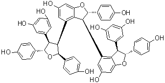 CAS # 124027-58-3, Kobophenol A, (2S,2'R,3S,3'R)-3'-(3,5-Dihydroxyphenyl)-4-[(2S,3S,4R,5S)-4-(3,5-dihydroxyphenyl)tetrahydro-2,5-bis(4-hydroxyphenyl)-3-furanyl]-2,2',3,3'-tetrahydro-2,2'-bis(4-hydroxyphenyl)[3,4'-bibenzofuran]-6,6'-diol