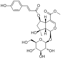CAS # 1246012-26-9, 6-O-trans-p-Coumaroylshanzhiside methyl ester