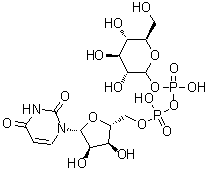 CAS 登录号：133-89-1, 葡萄糖焦磷酸尿苷