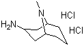 structure of CAS# 135906-03-5, 内向-9-甲基-9-氮杂双环[3,3,1]壬烷-3-胺盐酸盐